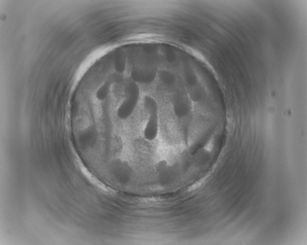 X0000052651421200507221830