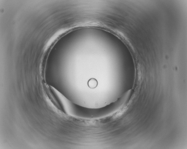 X0000052651422200507221830