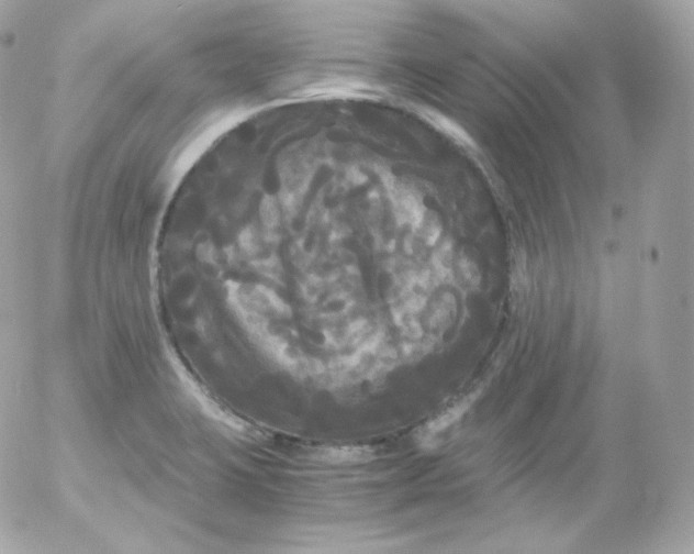 X0000052651423200507221830