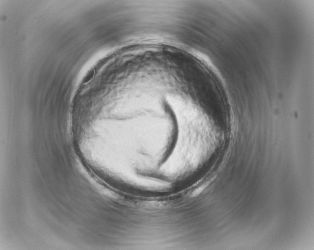 X0000052651424200507221830