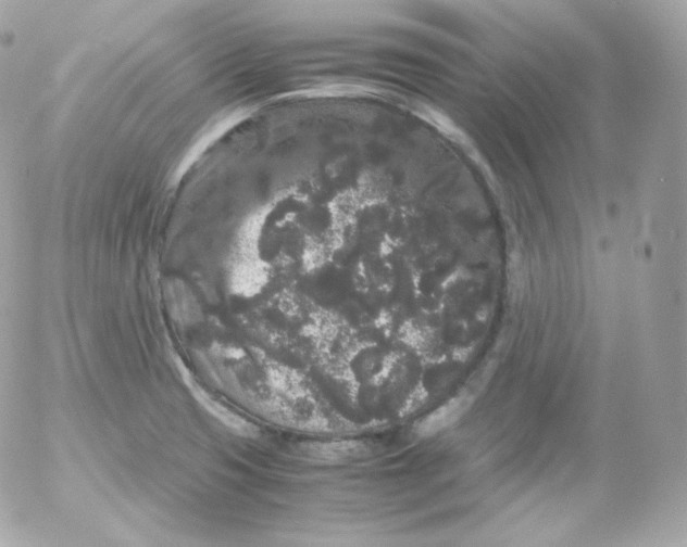 X0000052651425200507221830