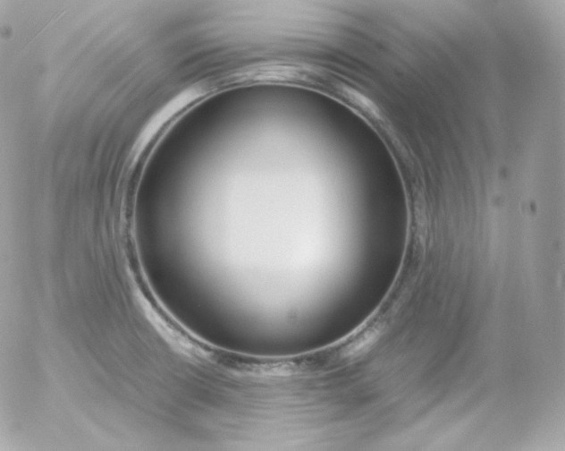 X0000052651426200507221830