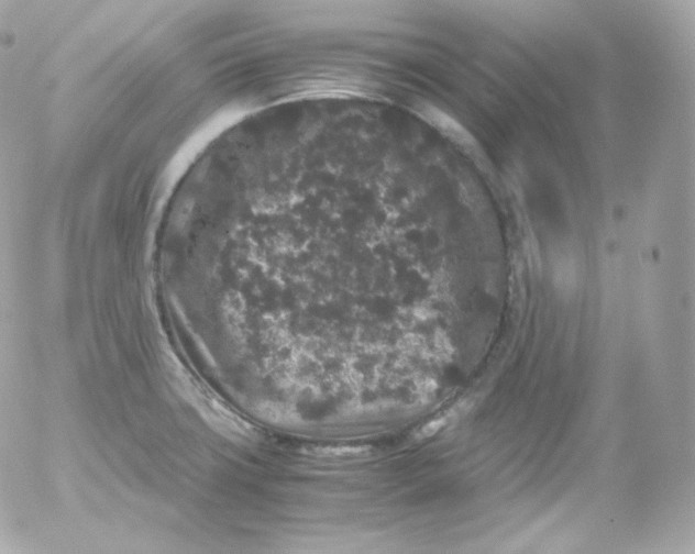 X0000052651427200507221830