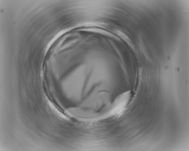 X0000052651428200507221830