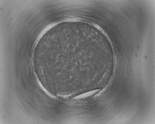 X0000052651429200507221830