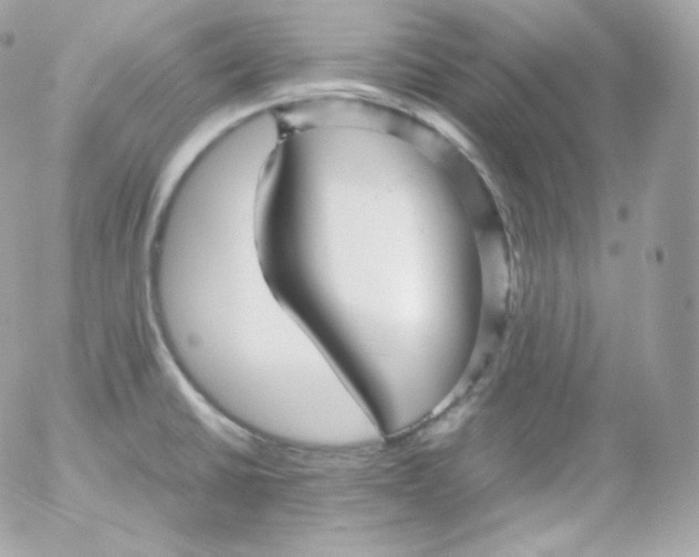 X0000052651430200507221830