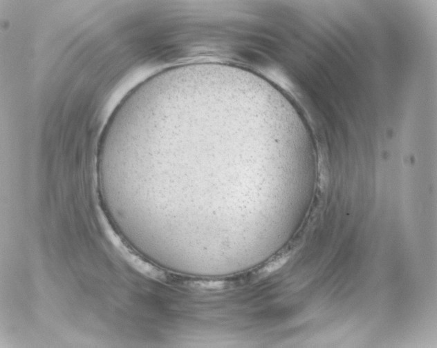 X0000052651431200507221830