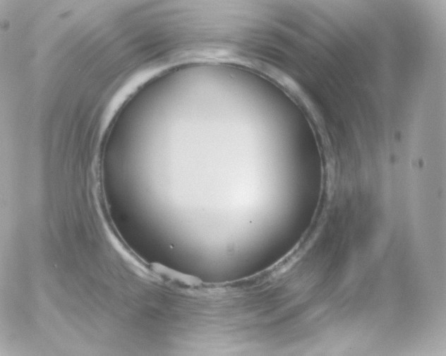 X0000052651432200507221830