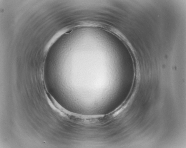 X0000052651433200507221830