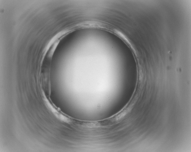 X0000052651434200507221830