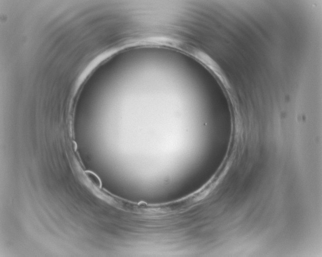 X0000052651436200507221830