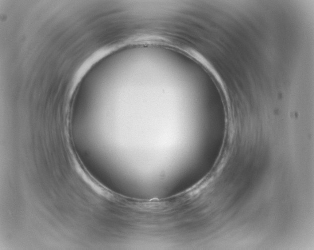 X0000052651437200507221830