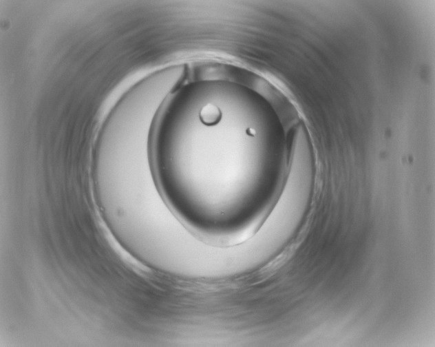 X0000052651438200507221830