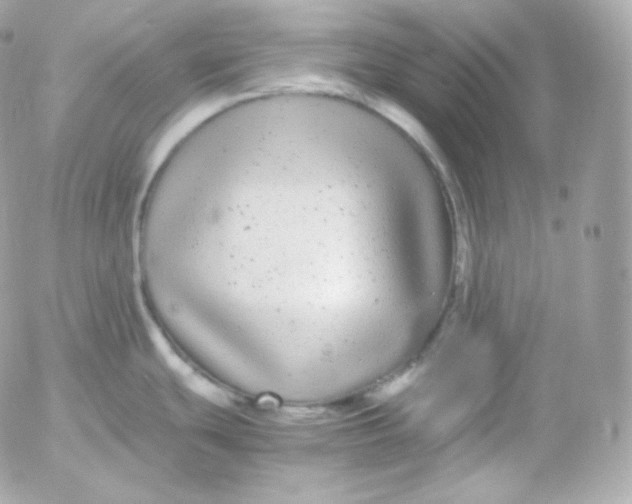 X0000052651439200507221830