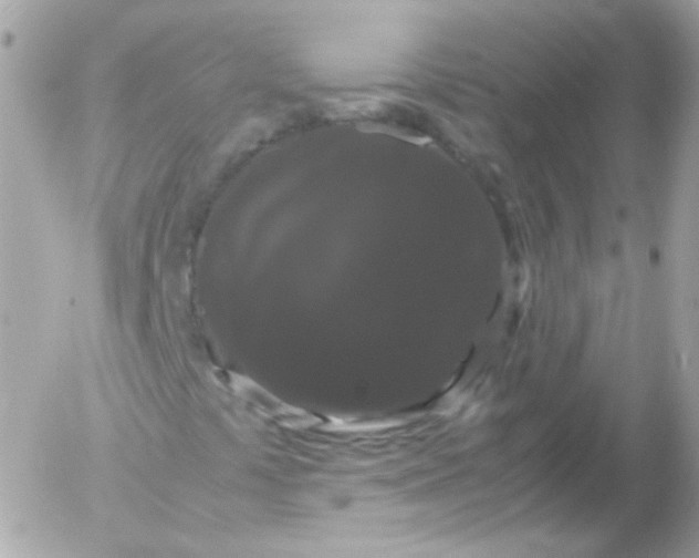 X0000052651441200507221829