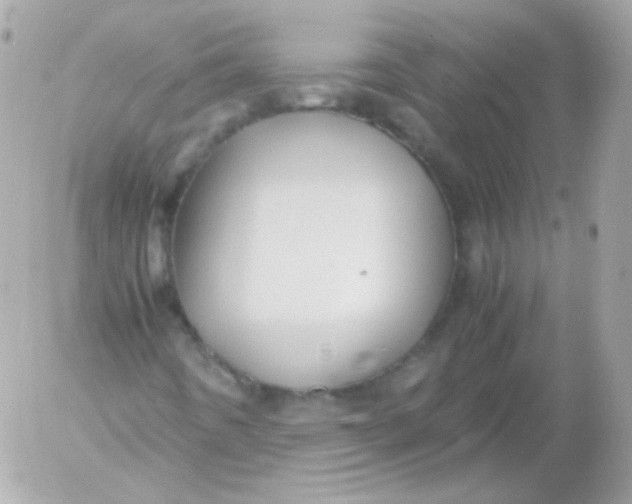 X0000052651442200507221829