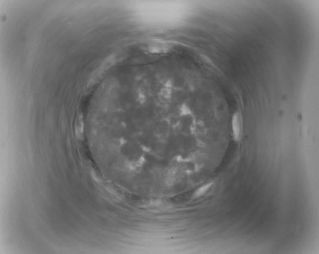 X0000052651443200507221829