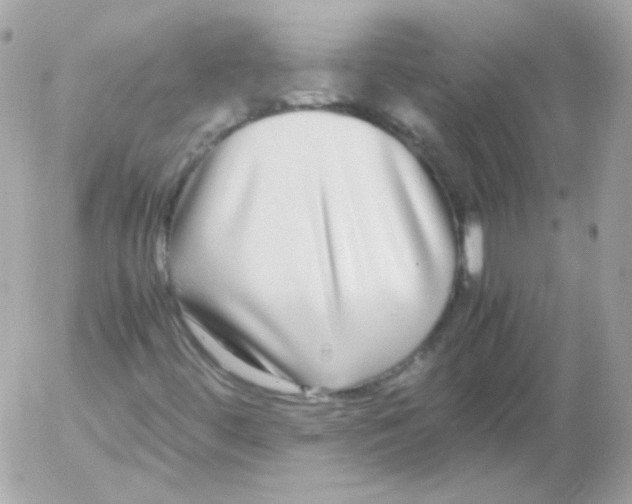 X0000052651444200507221829