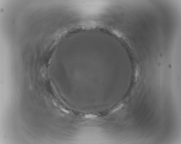 X0000052651445200507221829