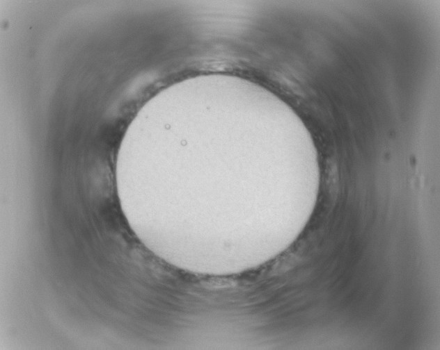 X0000052651446200507221829