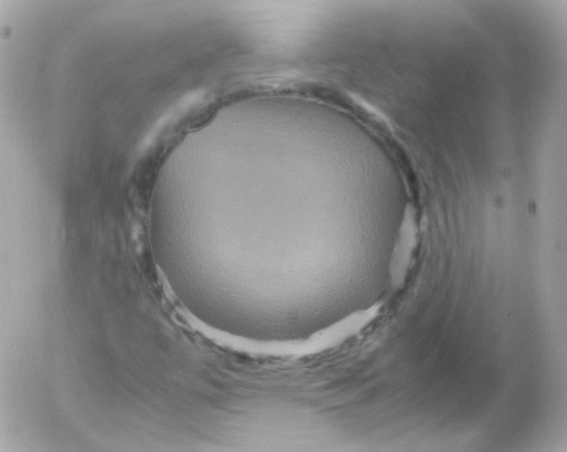 X0000052651447200507221829