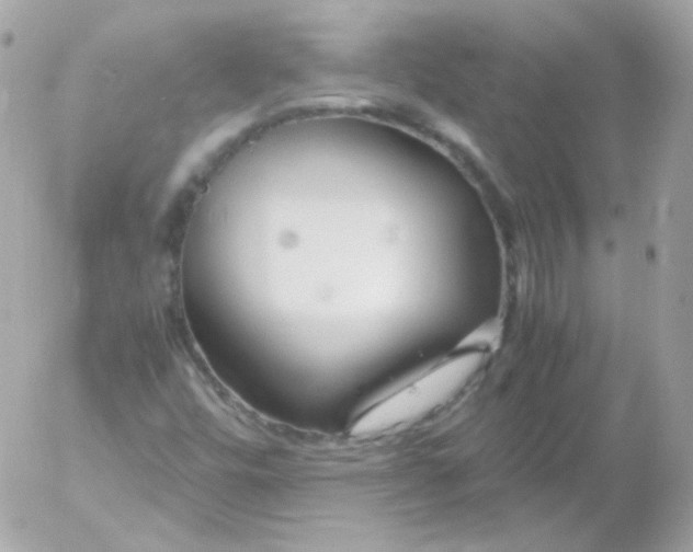 X0000052651448200507221829