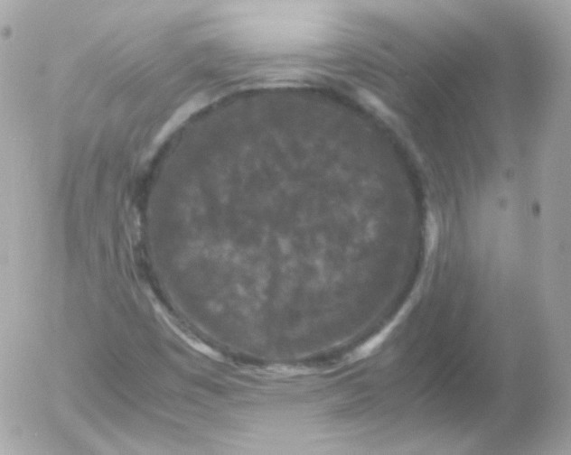 X0000052651449200507221829