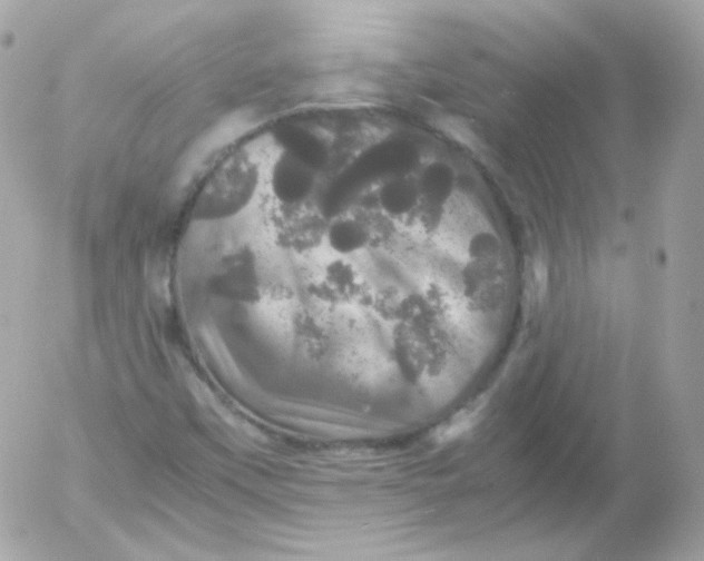 X0000052651451200507221829