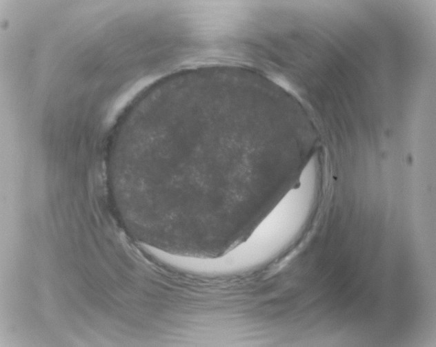 X0000052651453200507221829