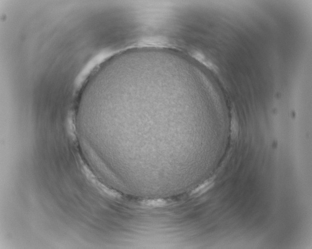 X0000052651454200507221829