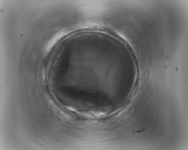 X0000052651455200507221829