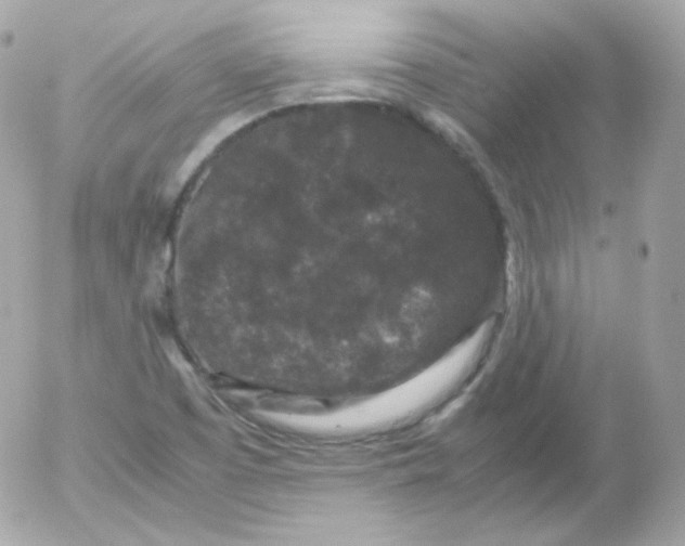 X0000052651457200507221829