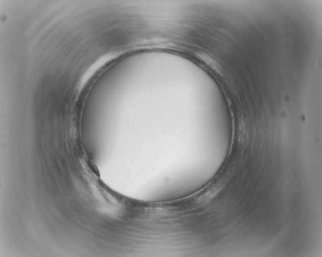 X0000052651458200507221829