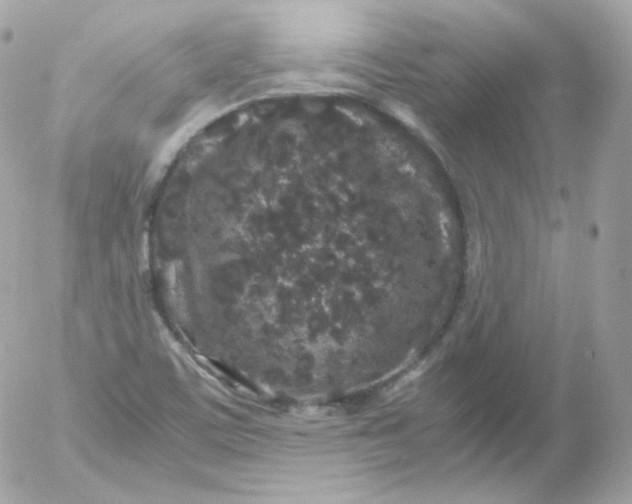 X0000052651459200507221829