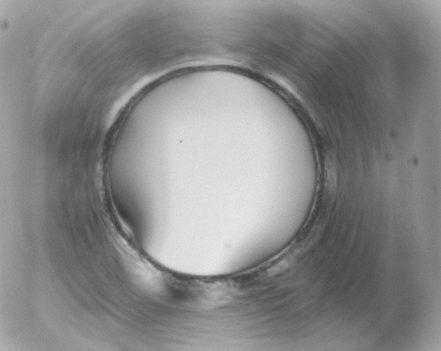 X0000052651460200507221829