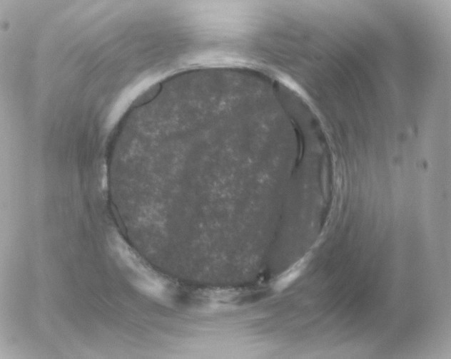 X0000052651461200507221829