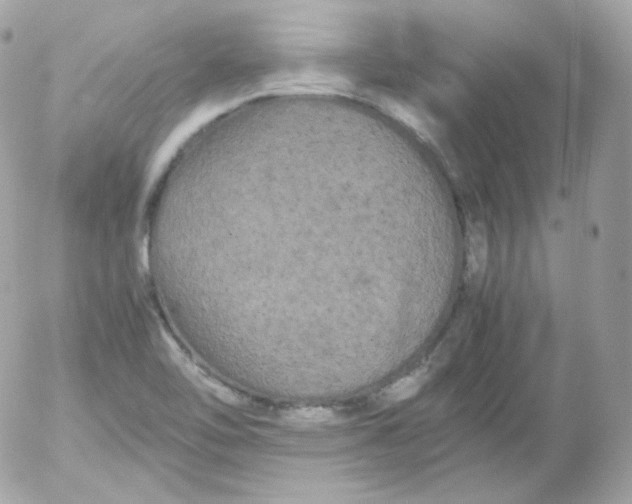 X0000052651462200507221829