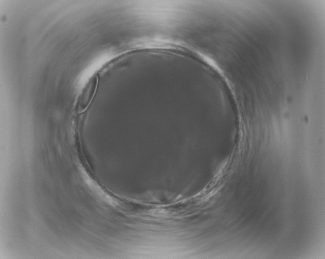 X0000052651463200507221829