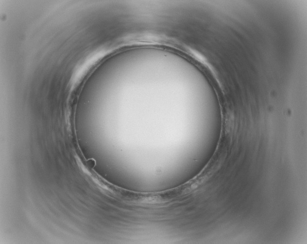 X0000052651464200507221829