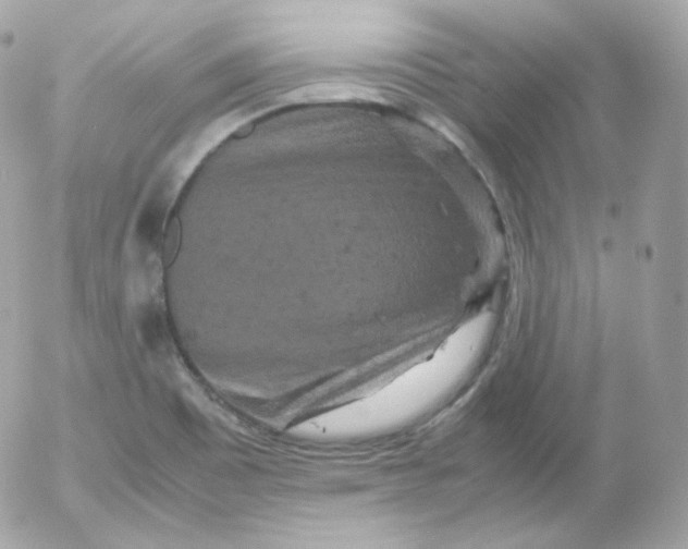 X0000052651465200507221829