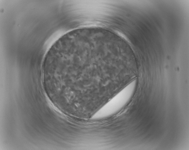 X0000052651467200507221829