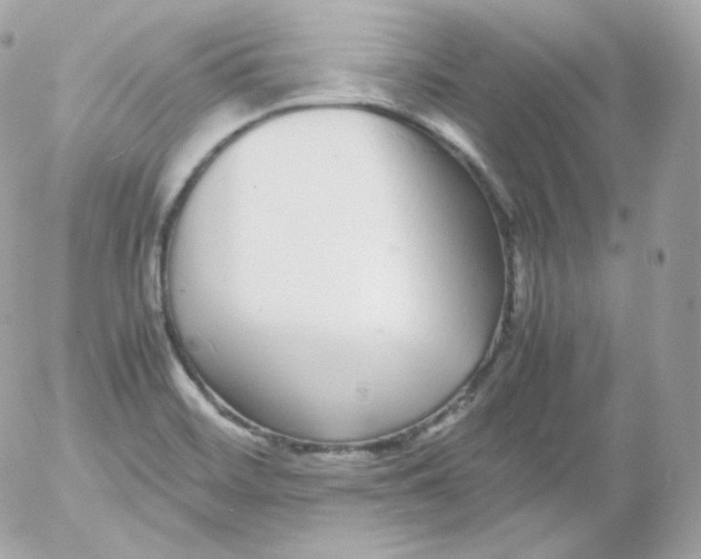 X0000052651468200507221829