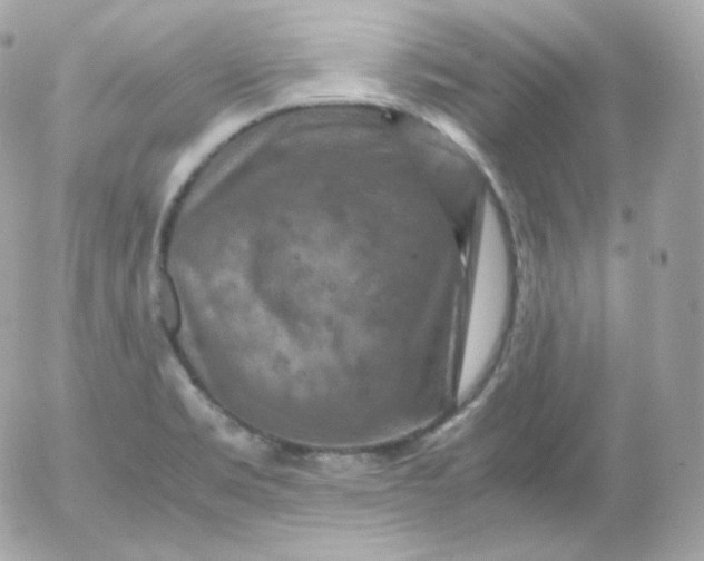 X0000052651469200507221829