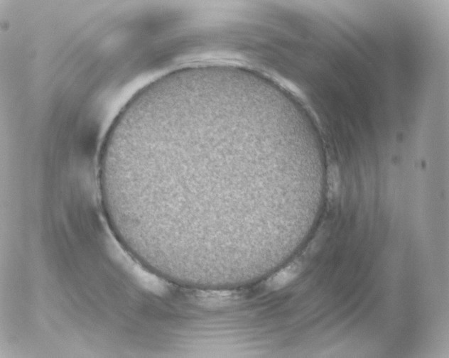 X0000052651470200507221829