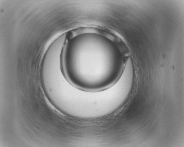 X0000052651471200507221829