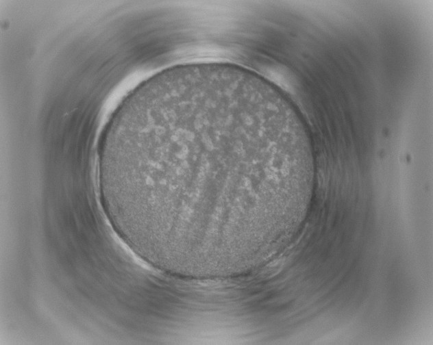 X0000052651472200507221829