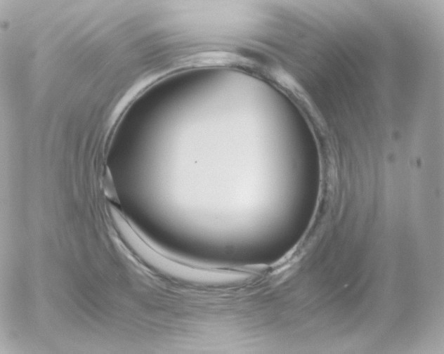 X0000052651473200507221829