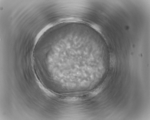 X0000052651474200507221829