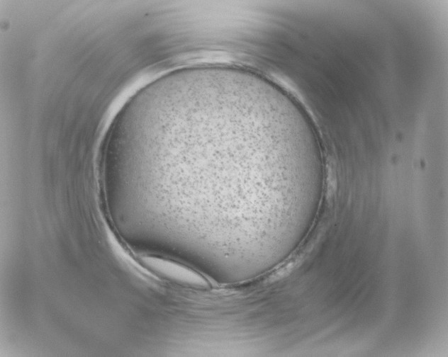 X0000052651475200507221829