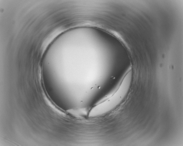 X0000052651476200507221829